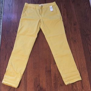 Anthropologie Pants Size 27